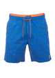 Bright Royal Blue Shiny Orange (59000)