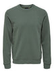 Castor Gray 22018683