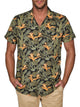 Leaves Black-Olive