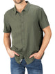 Ivy Olive