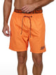 Shiny Orange