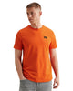 PTSS2602599-2054 Flame