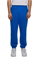 01495 cobalt blue