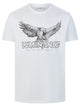 White (SJD)