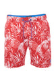 Cherry Red Bright Royal Blue