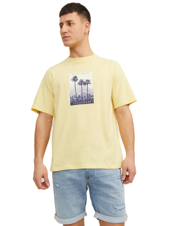 Jack & Jones Herren Rundhals T-Shirt JORSPLASH PHOTO - Regular Fit