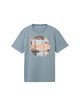 Grey mint 27475