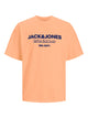Apricot Ice 12247782