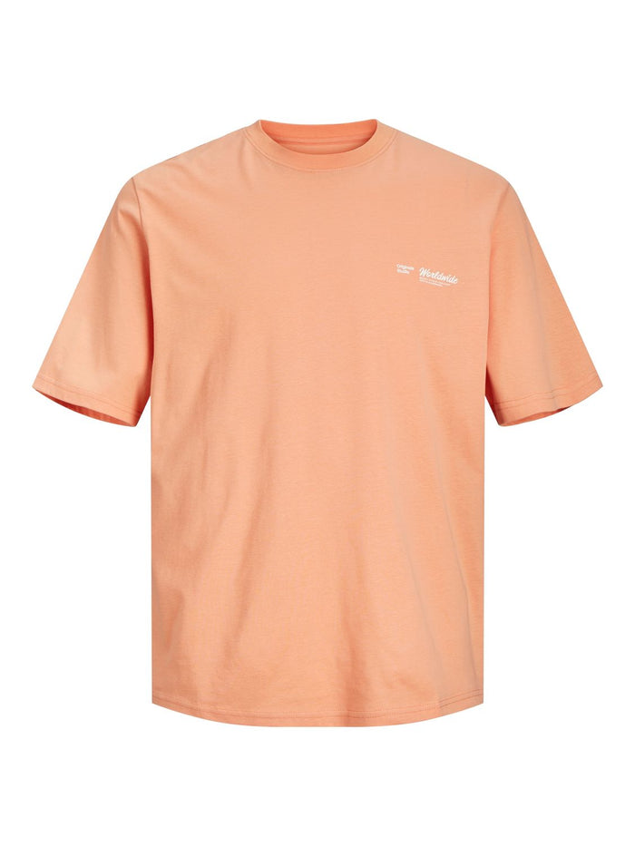 Jack & Jones Herren Rundhals T-Shirt JORSEQUOIA BACK - Relaxed Fit