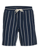 12274413 Sky Captain Stripes
