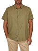 Ivy Olive