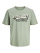 12279535 Iceberg Green