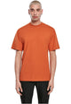 02766 rustred
